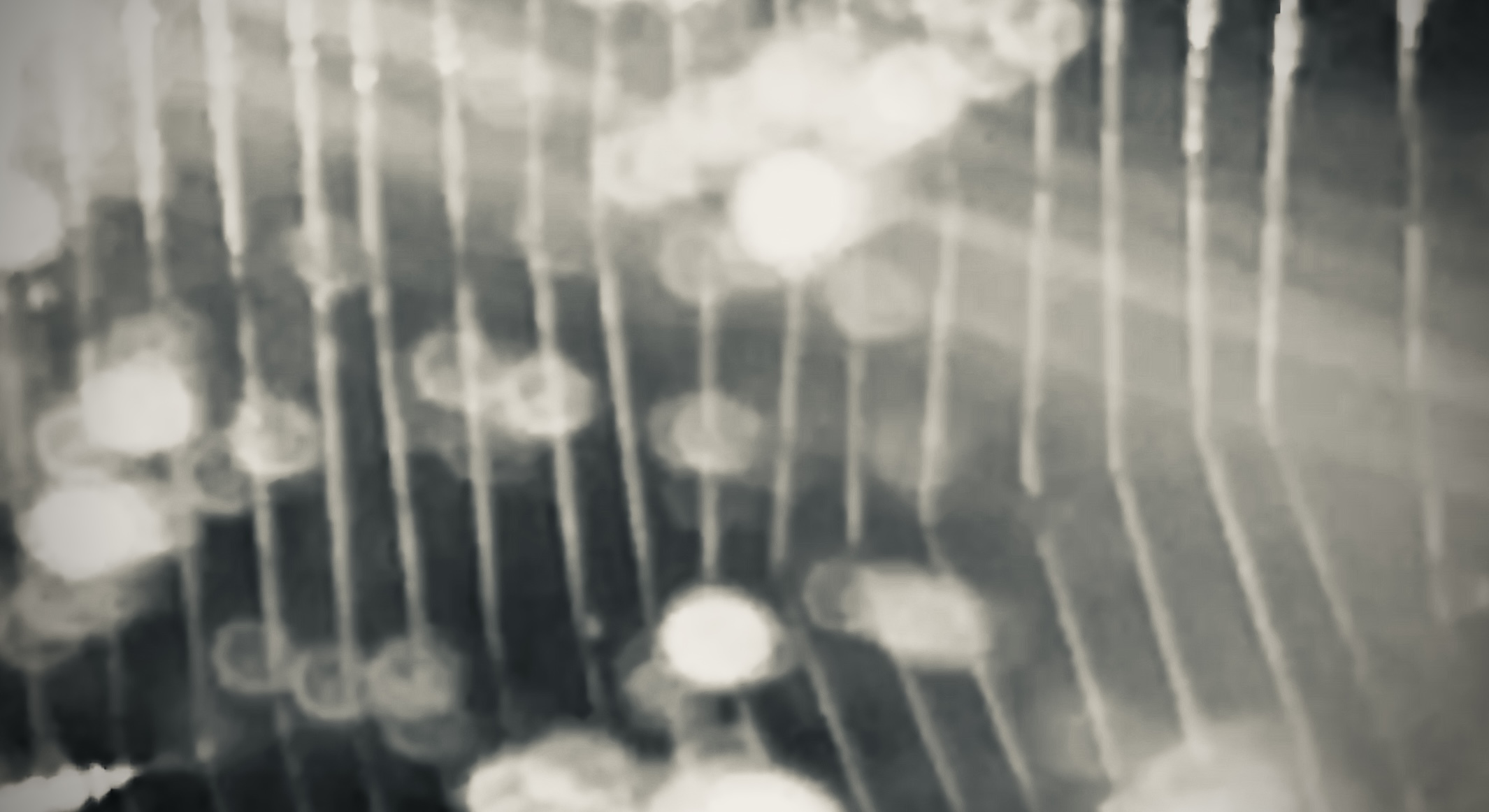 Sun-Web - image Ciaran Roche