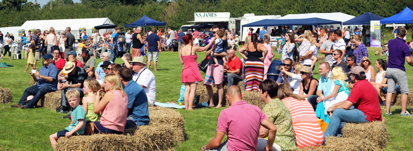 Raglan Festival Banner