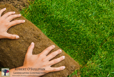 Lawn Care and Maintenance 