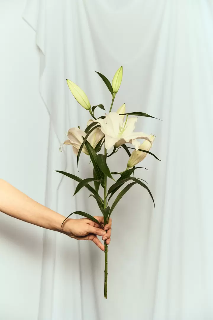 Fashion Editorial: Queens Gambit, scène 20.