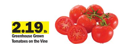 <br />
<b>Notice</b>: Undefined index: name in <b>/var/www/html/app/views/flyer.php</b> on line <b>79</b><br />
image