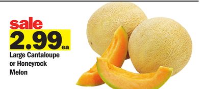 <br />
<b>Notice</b>: Undefined index: name in <b>/var/www/html/app/views/flyer.php</b> on line <b>79</b><br />
image