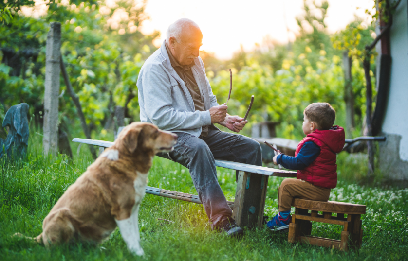 The Benefits of Animal Companionship for Elderly and Aging Populations