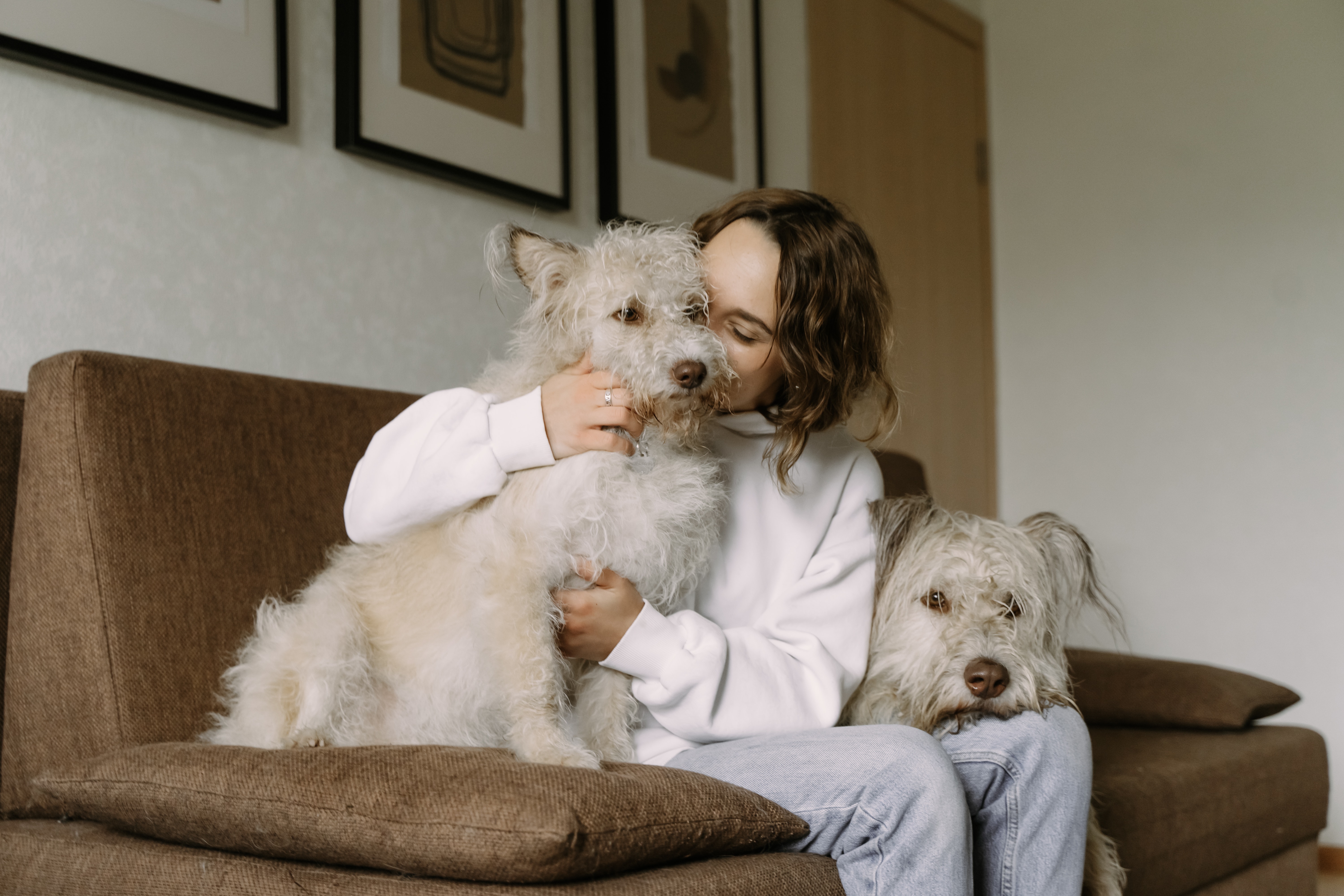 The Importance of Pets in Coping with Trauma and PTSD