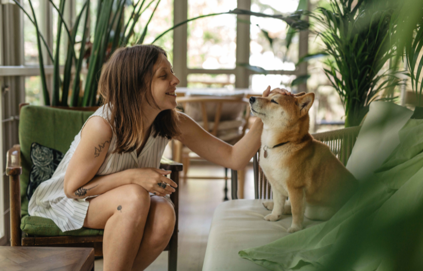 From Paws to Hearts: How Animal Therapy is Changing Lives