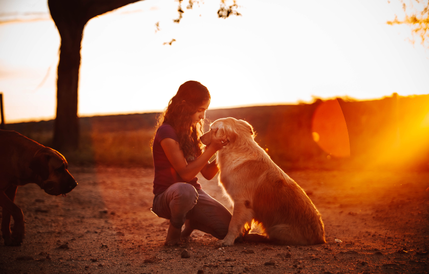 The Power of Emotional Support Animals in Managing Anxiety