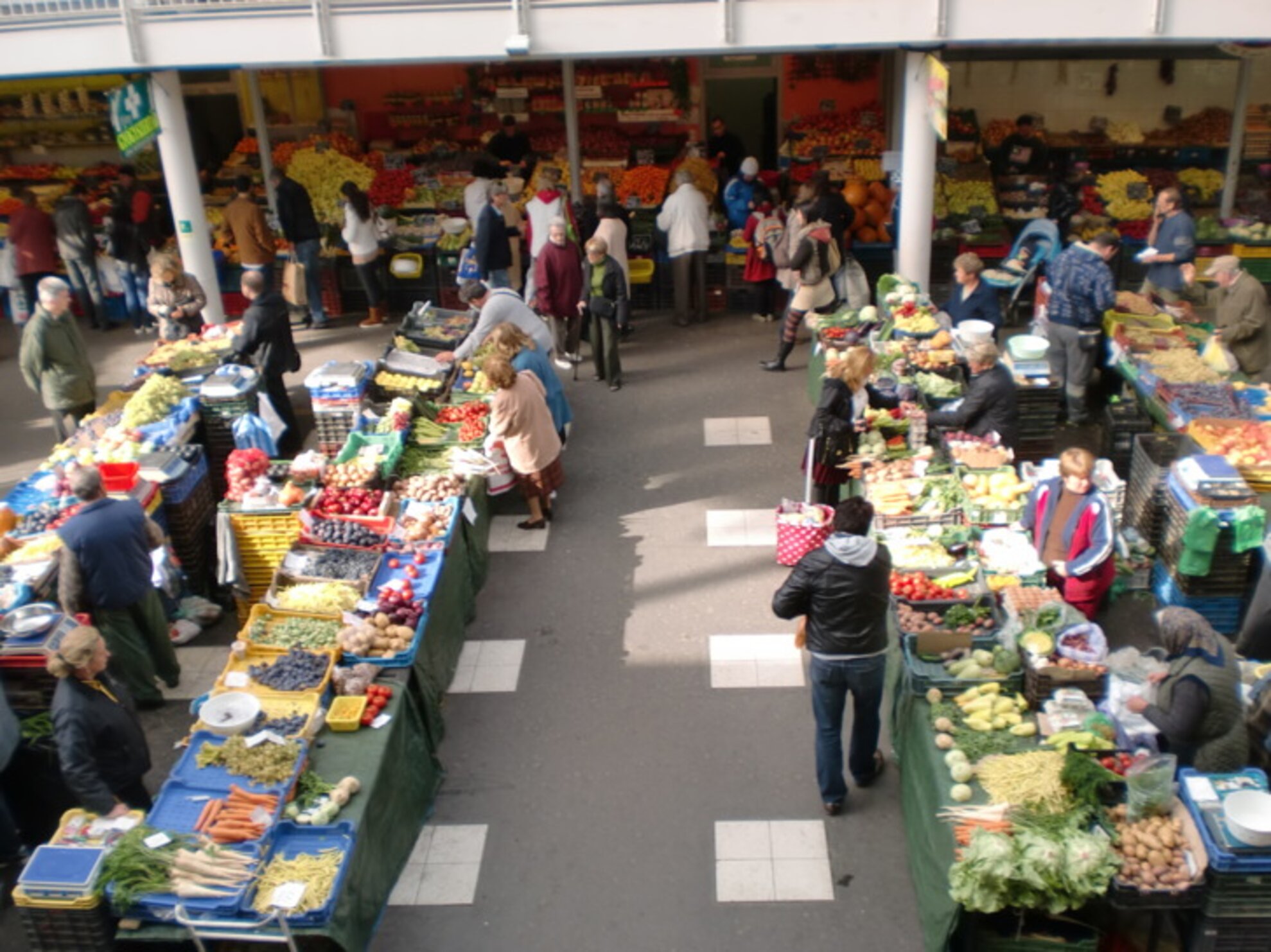 Dark Markets Guyana