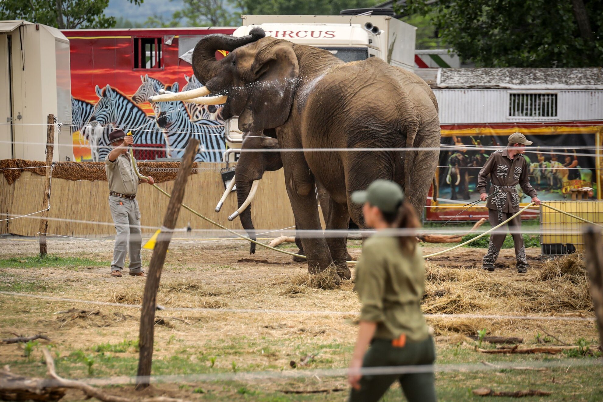 parc safari ungaria