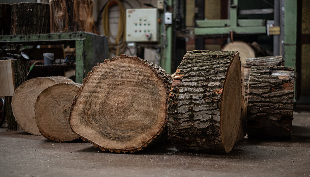 Weltevree-poplars-material-baumstämme