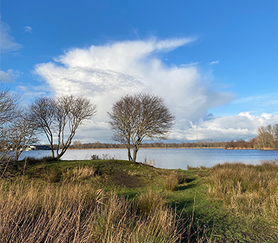 ansehen-natur-Weltevree-wasser