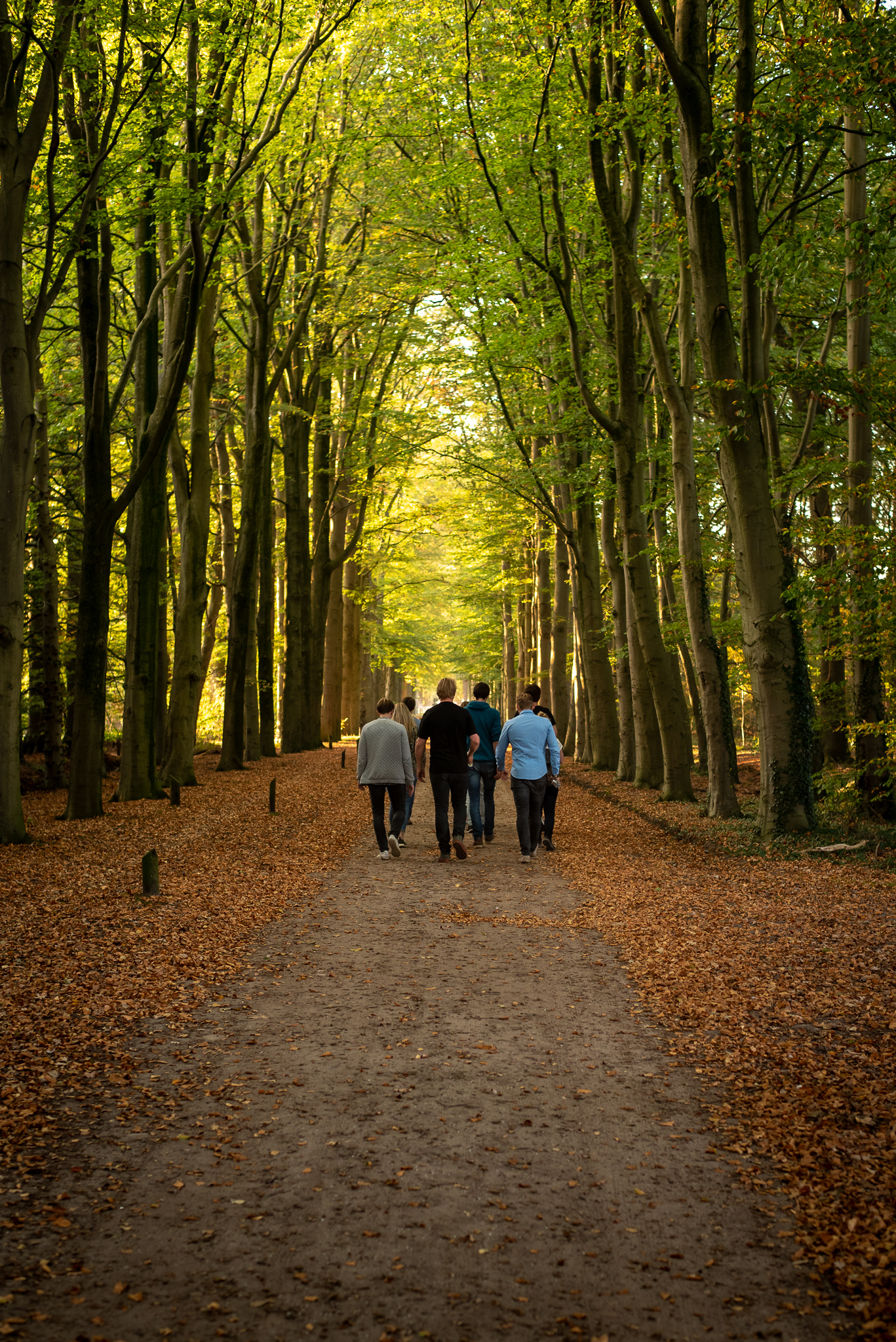 warme-kleuren-bladeren-herfst-Weltevree