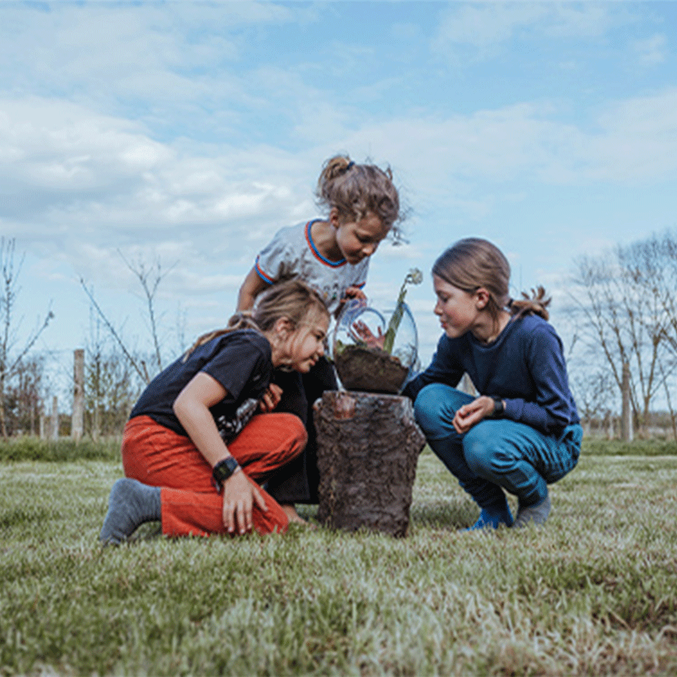 Wolvenkinderen-Buch-Natur-Weltevree