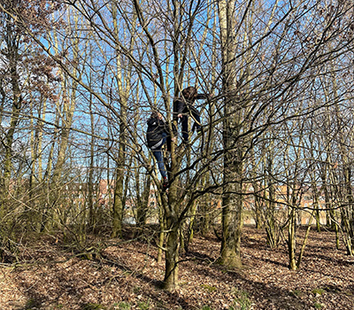 Bomen-Weltevree-klimmen