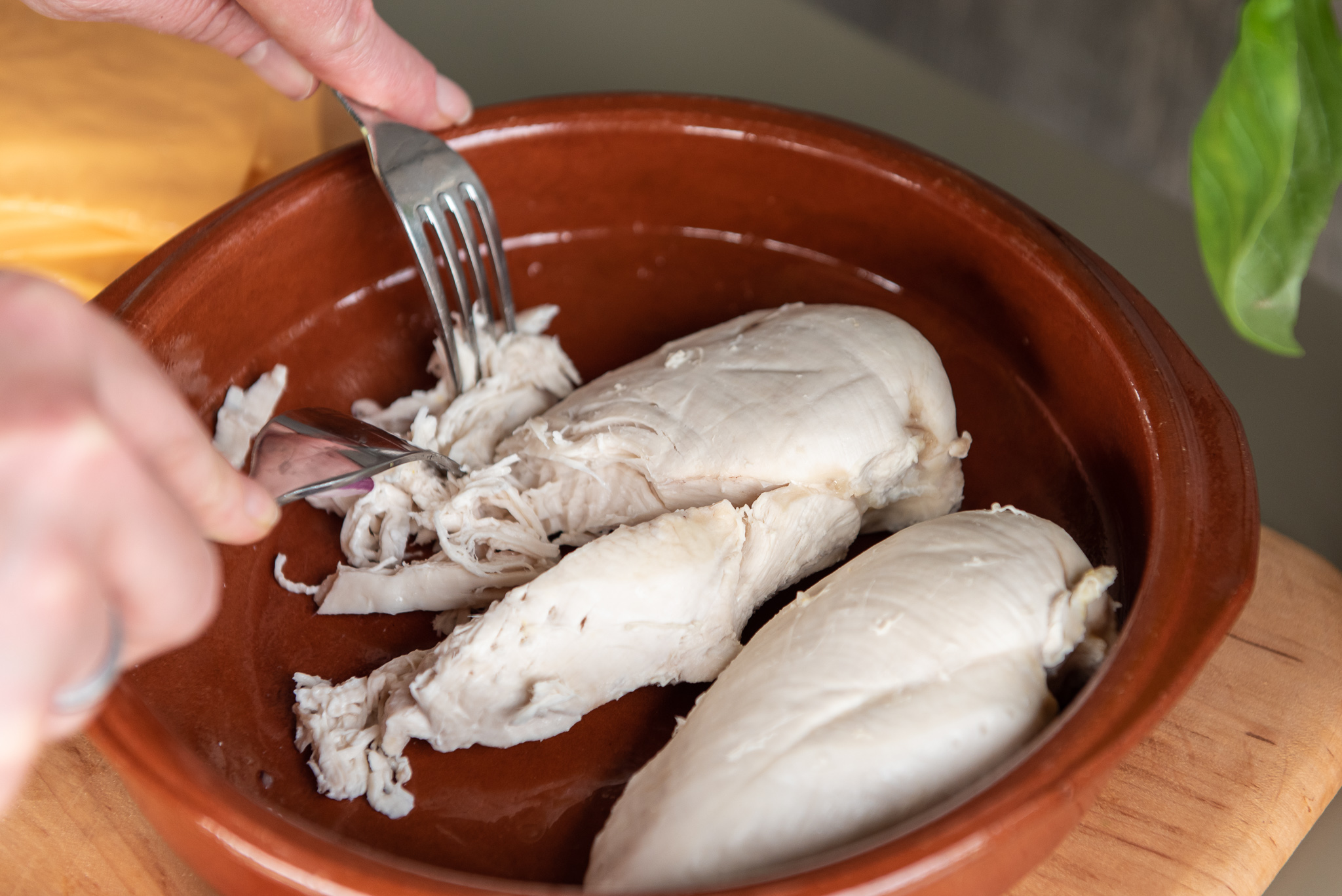 pulling-apart-chickenbreast-Weltevree-fork