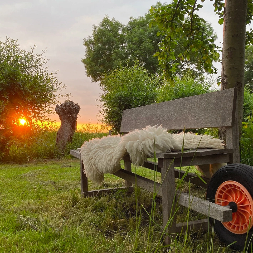 Weltevree - Wheelbench - Kruiwagenbank Accoya Hout - 2 tot 3 Persoons Tuinbank - Buiten Bank Verrijdbaar - Combinatie Bank en Kruiwagenwiel