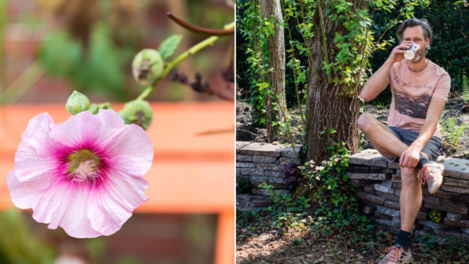 planten-Casper-Boot-Weltevree