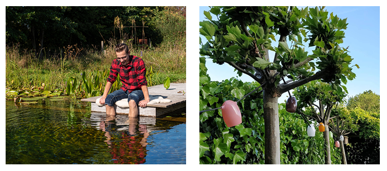 water-bomen-vogels-Weltevree