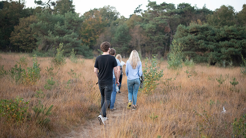 Warum Sie einen herbstlichen Spaziergang machen sollten