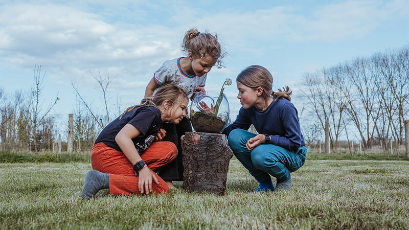 Local-Habitat-observeren-natuur-dichtbij