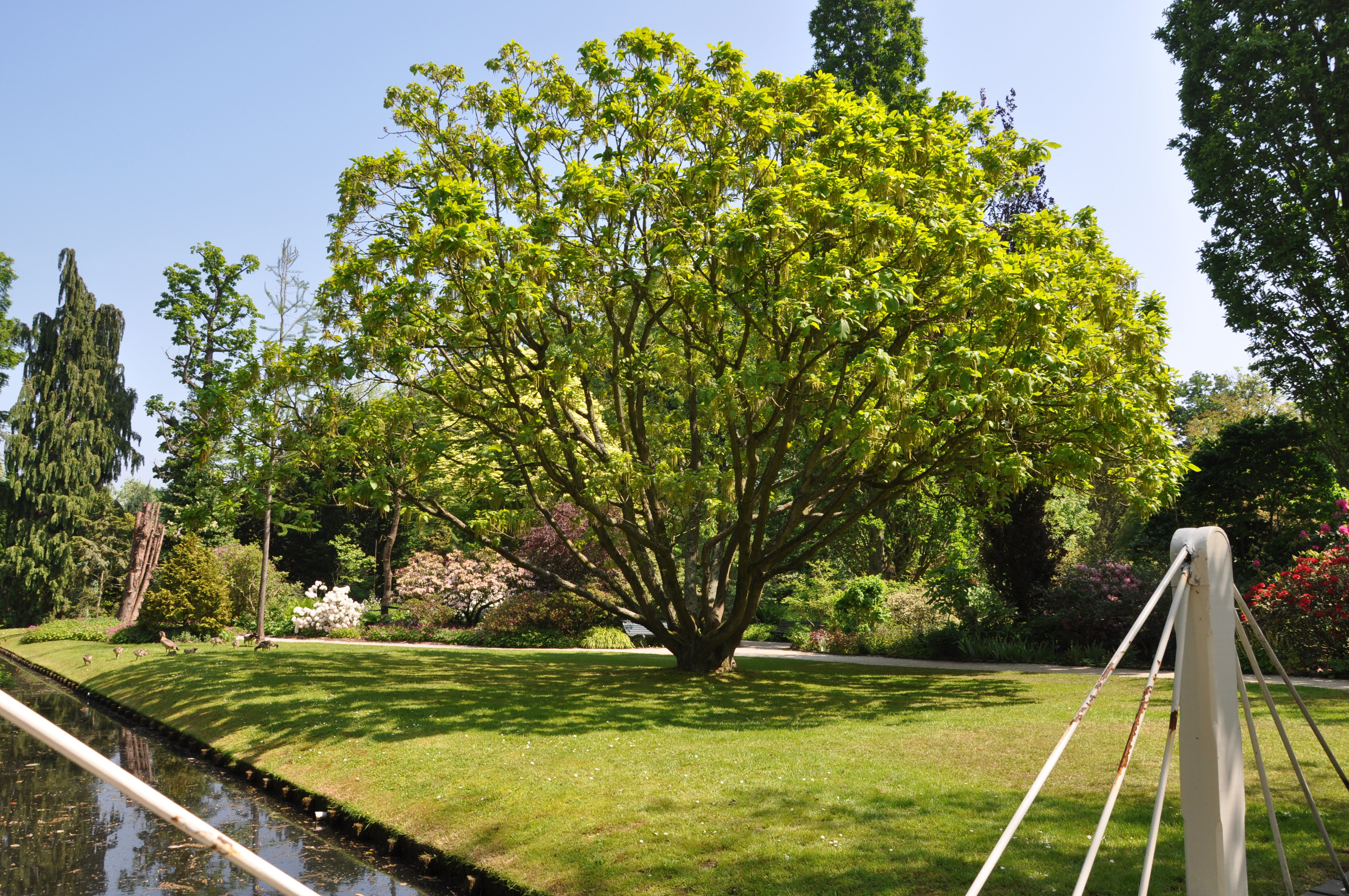 forêt-alimentaire-Trompenburg-nature-Weltevree