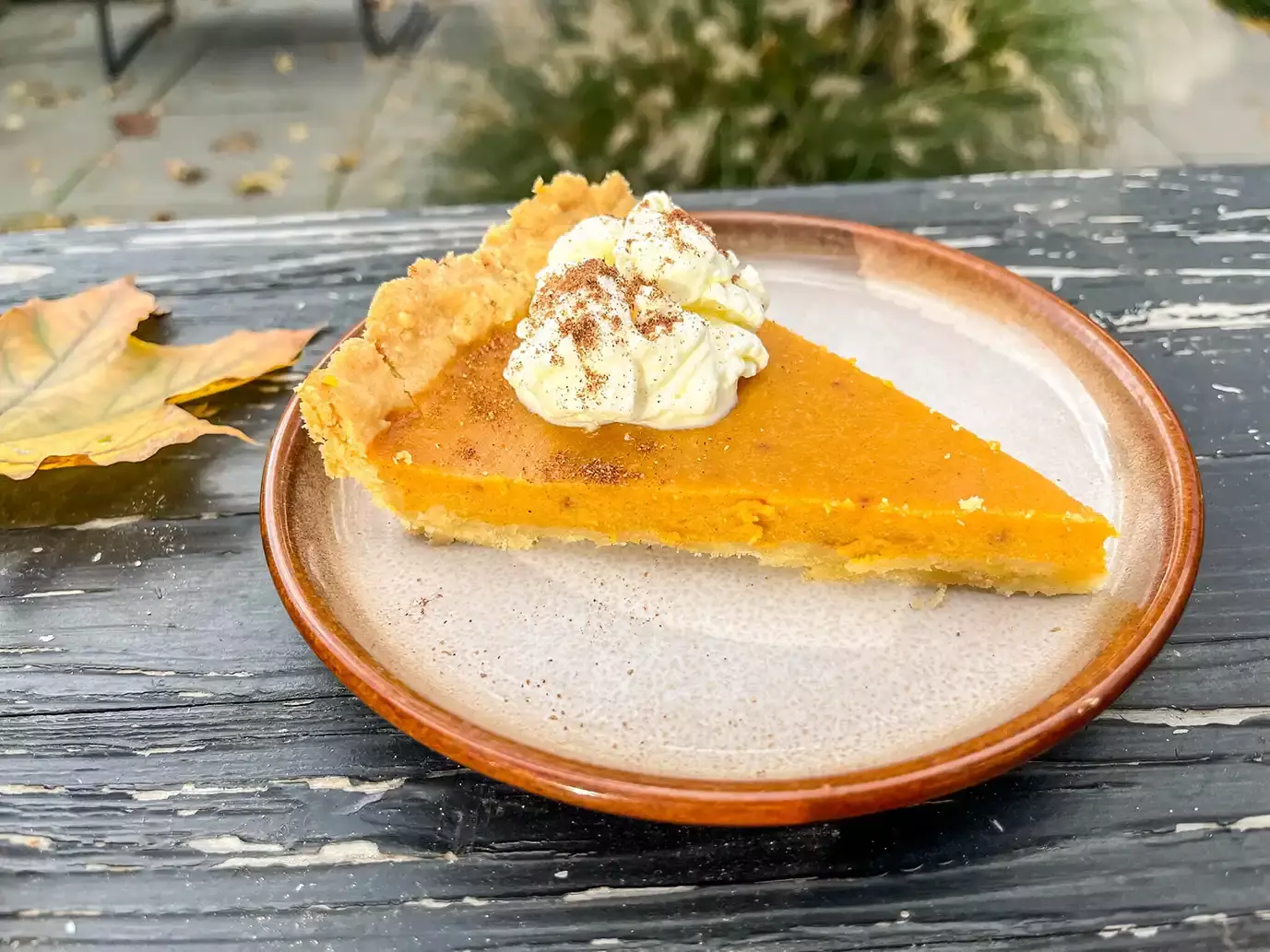 Tarte-à-la-citrouille-Weltevree-fini