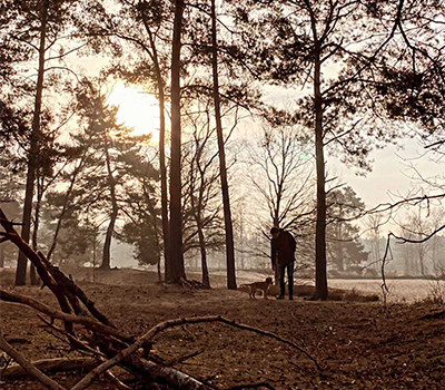 Forrest-trees-dog-Weltevree