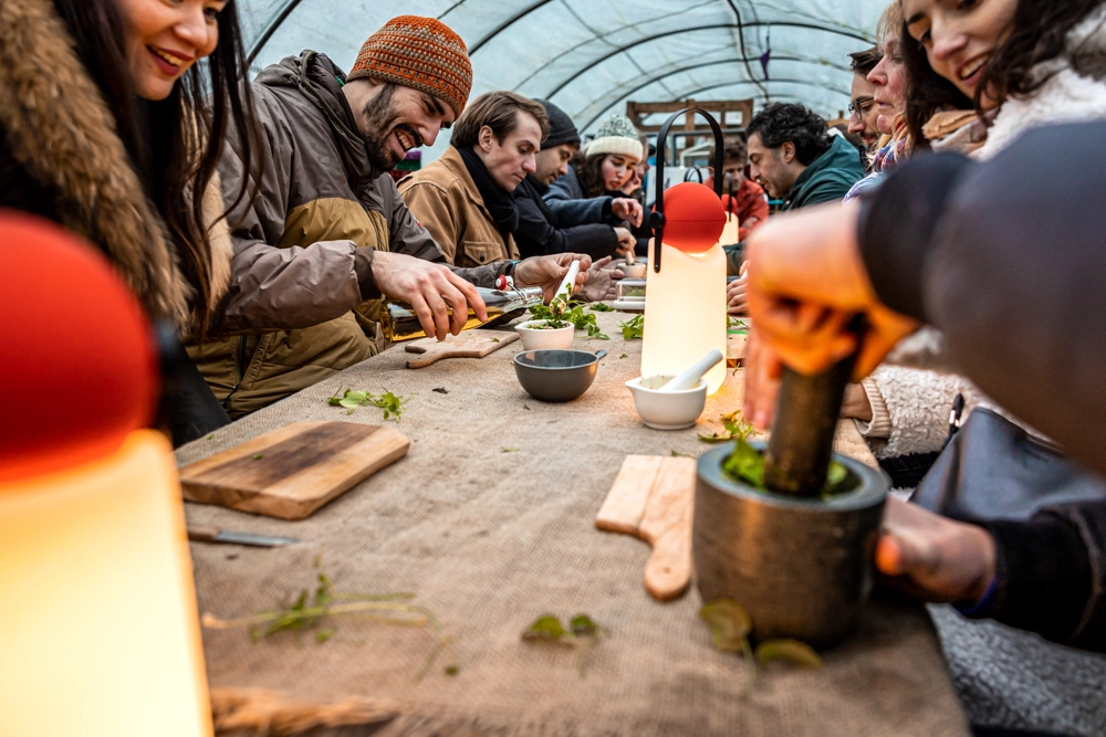 wildplukken-moestuin-pesto-maken-guidelight