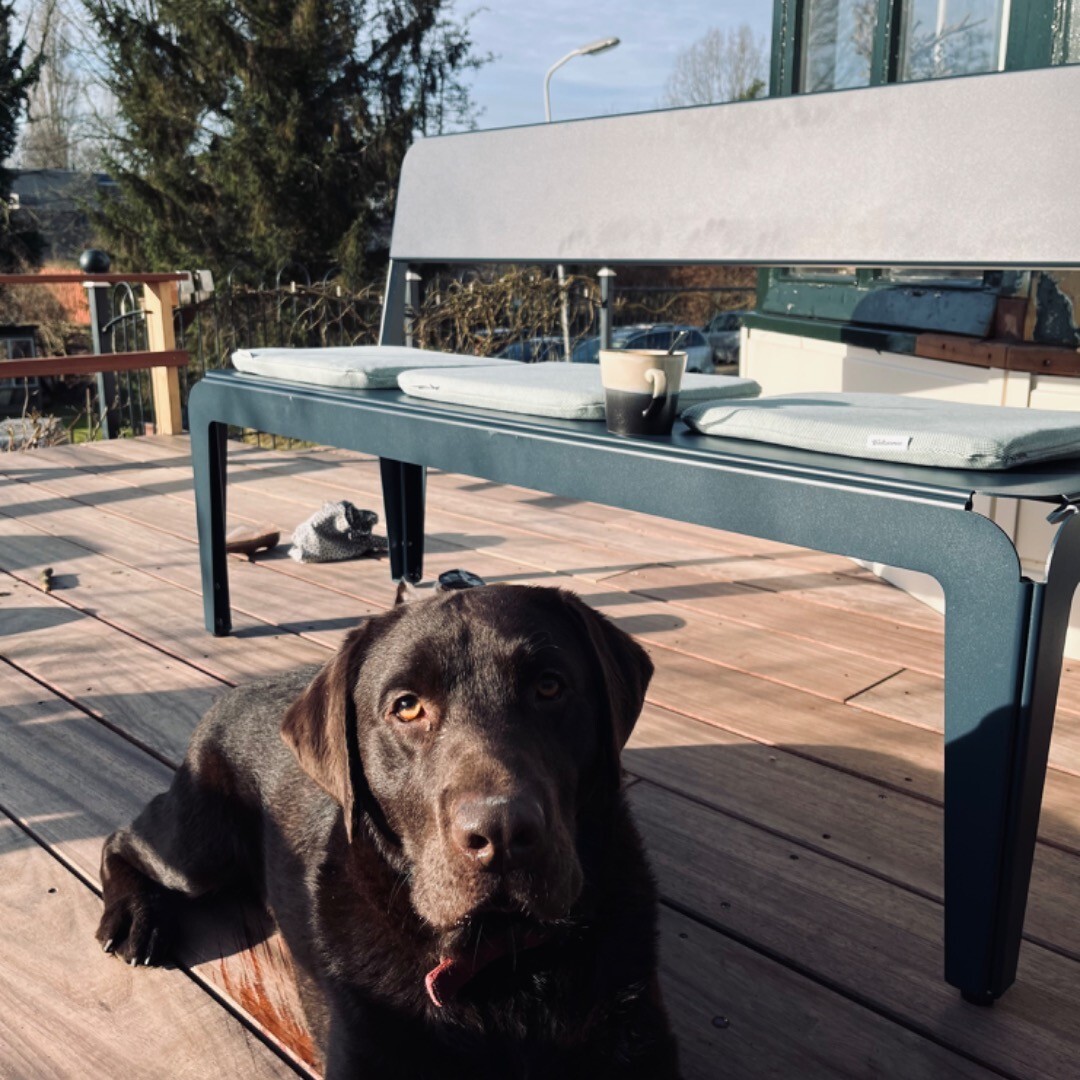 Weltevree-cushion-bended-bench-dog