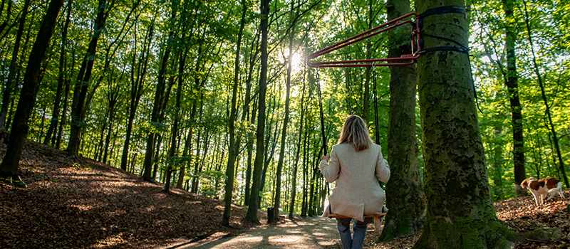 Weltevree-Swing-wald