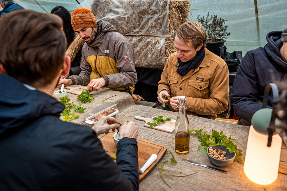 What foraging can teach you about life