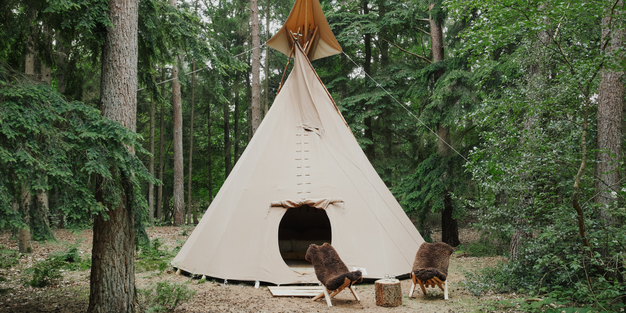 Bain de forêt de style japonais