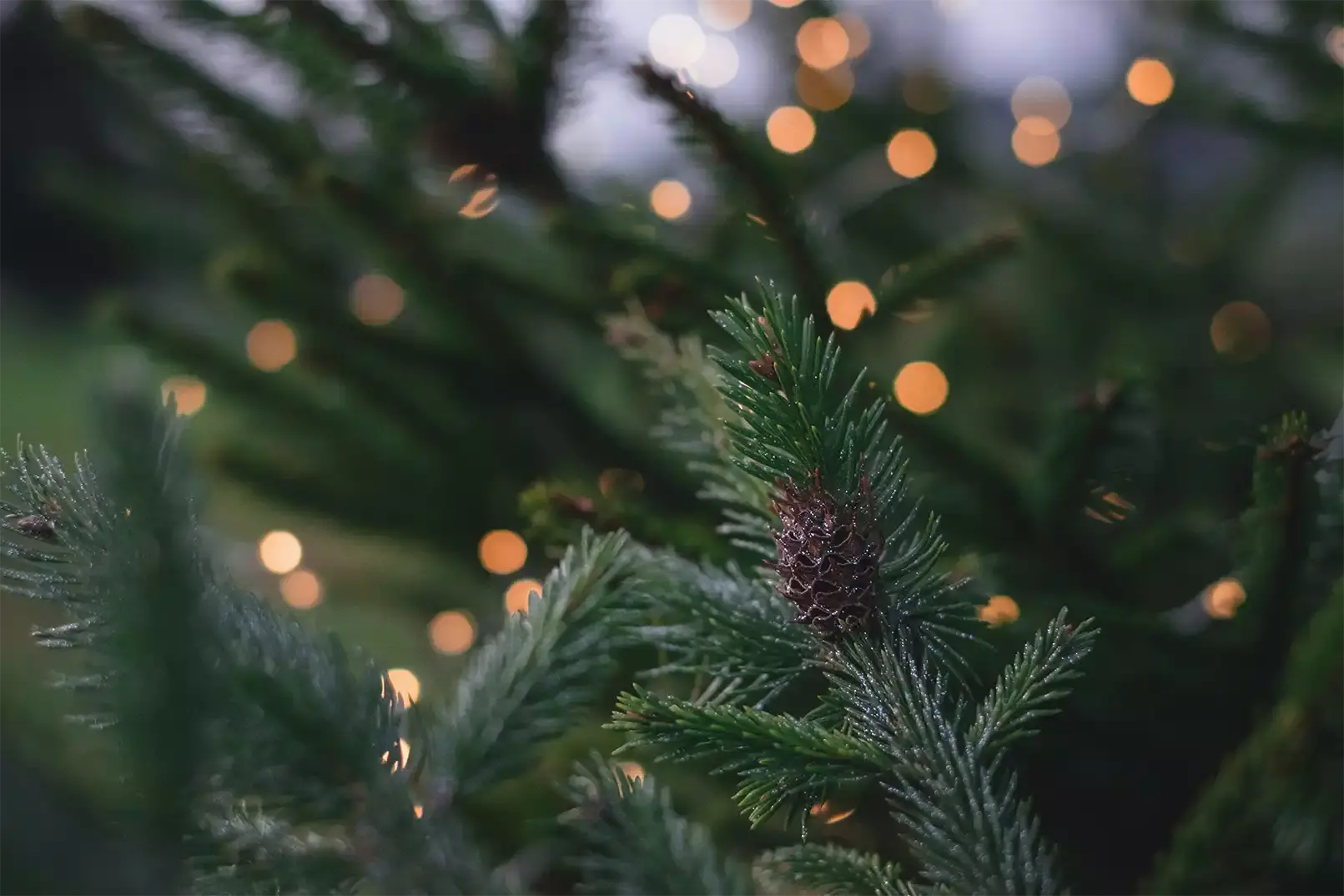 Weltevree-kerstverlichting