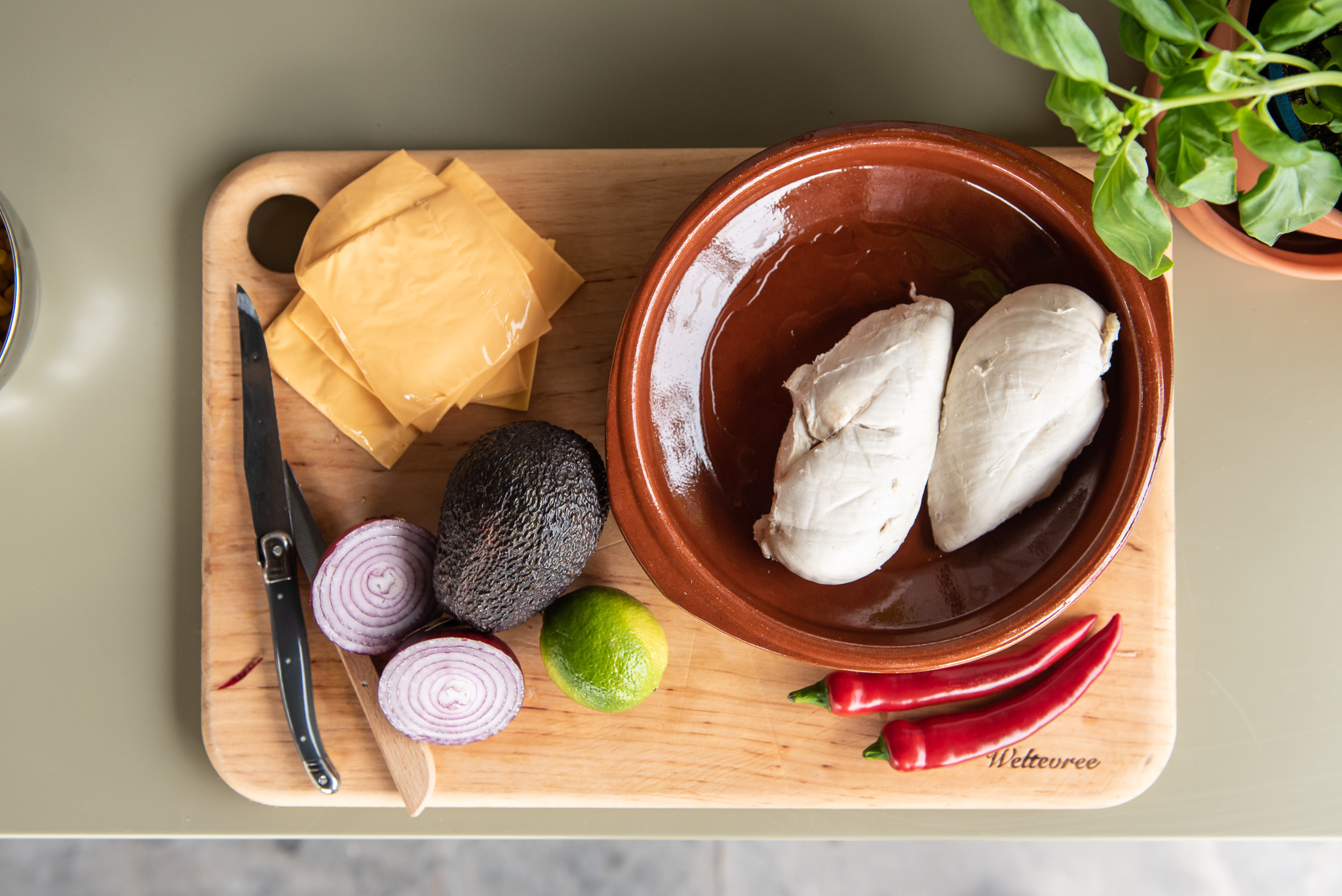 Hühnerbrust-Avocado-Zwiebel-Pfeffer-Schneidebrett-Weltevree