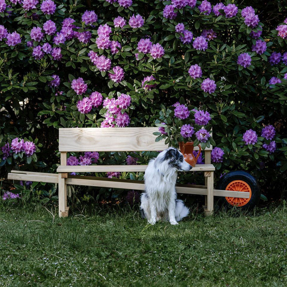 Weltevree-wheelbench-bloemen-hond
