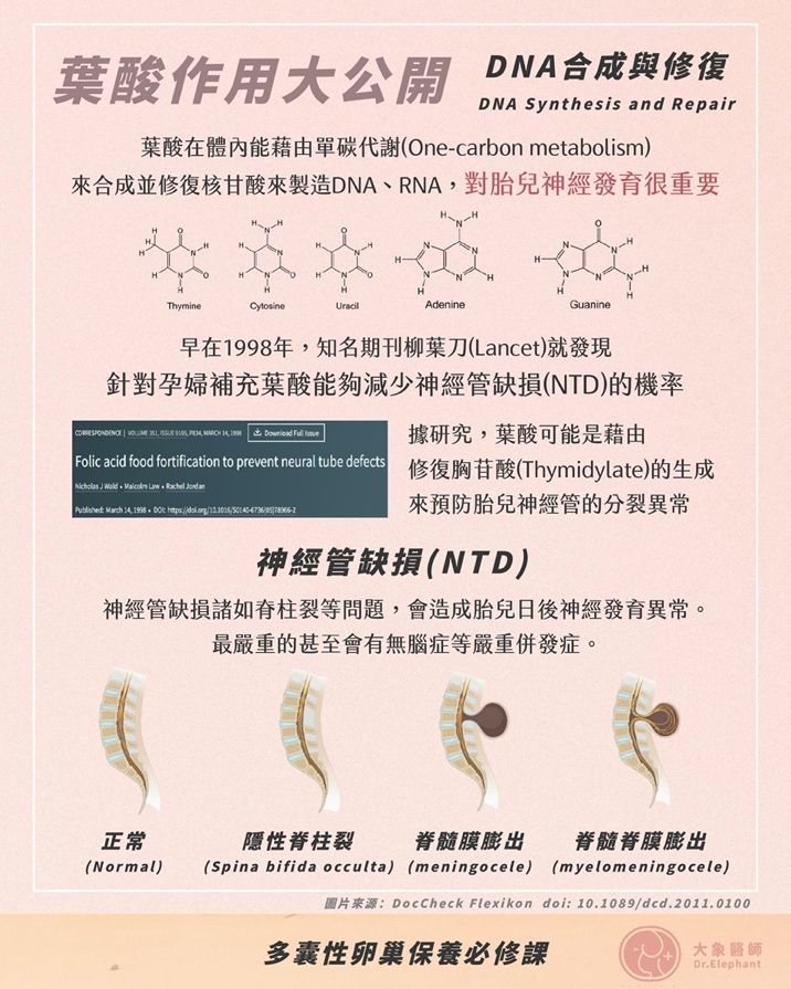 一張含有 文字, 功能表, 無脊椎動物 的圖片

自動產生的描述