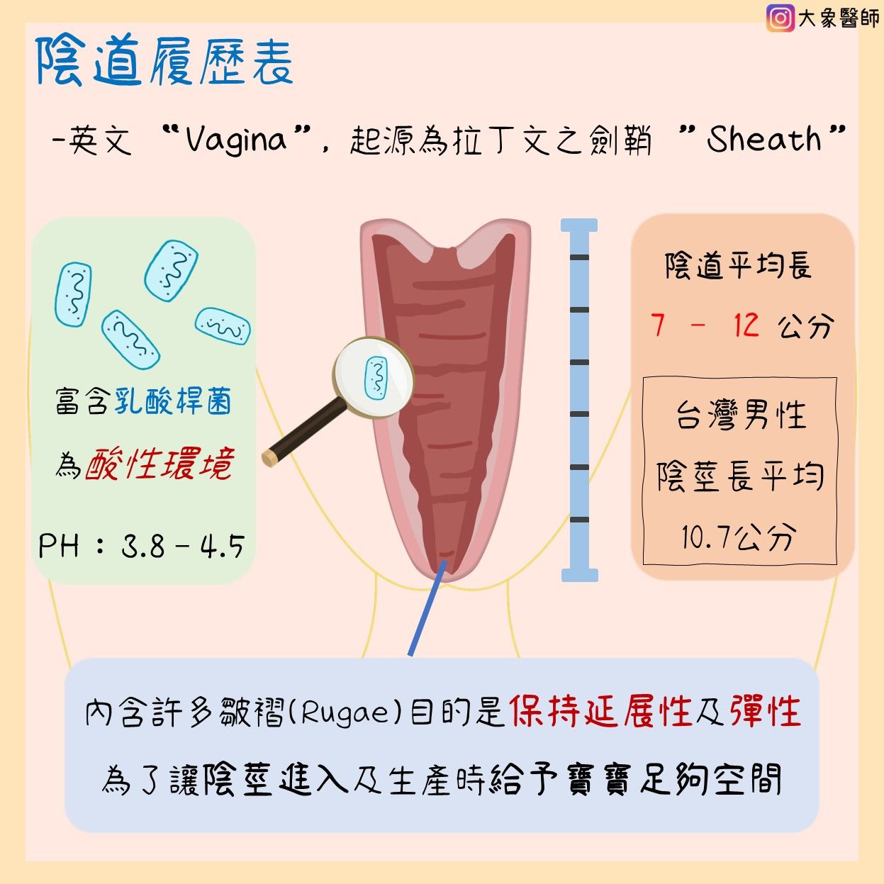 一張含有 圖表 的圖片

自動產生的描述