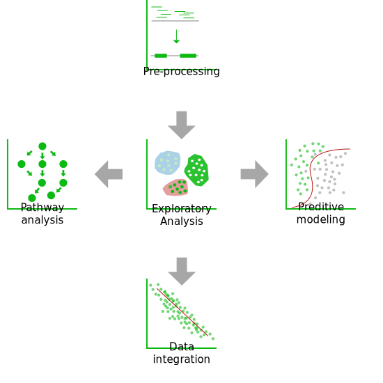 SciLicium Analyses