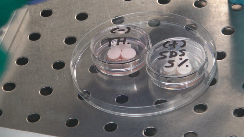 Prediskin - treatment of explants by single application