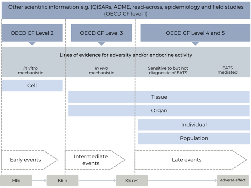 Endocrine