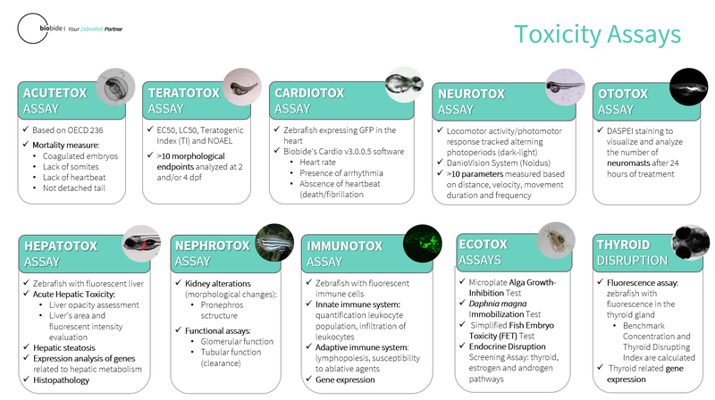 General Toxicity Assays by Biobide