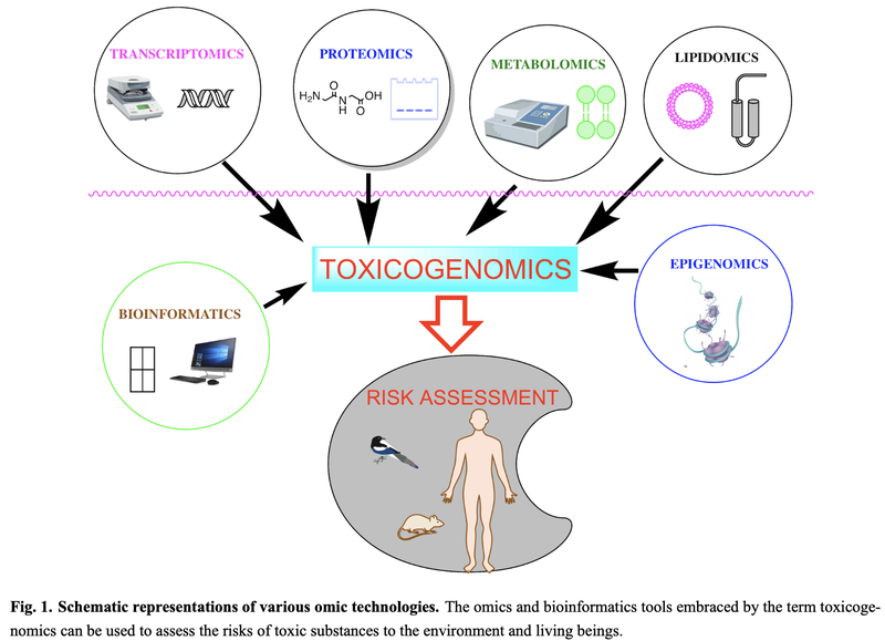 Toxicogenomics