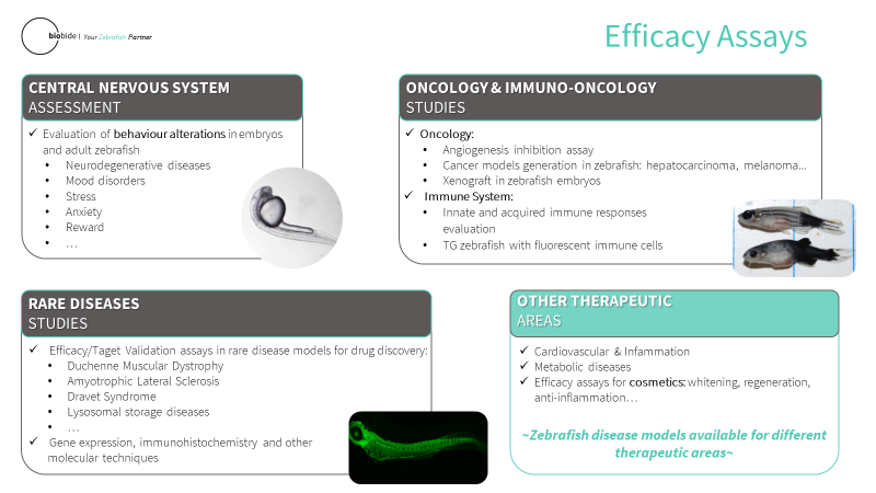 Efficacy Assays by Biobide