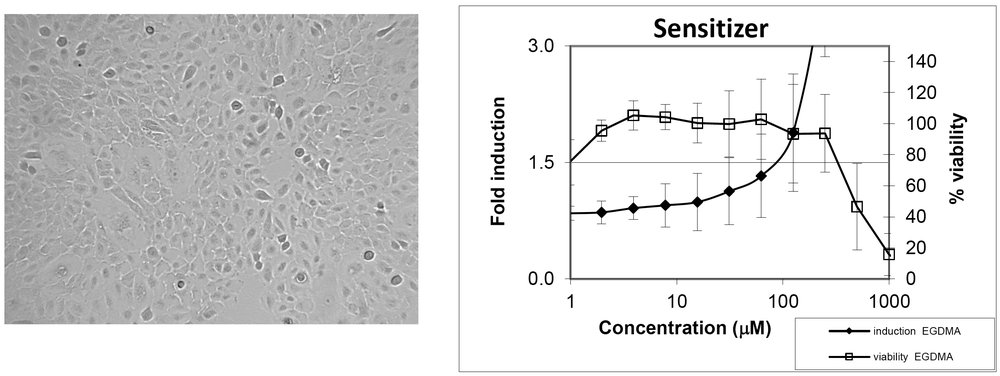 KeratinoSens™ grown in fetal bovine serum containing medium