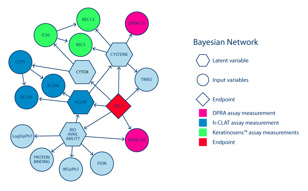 Bayesian network