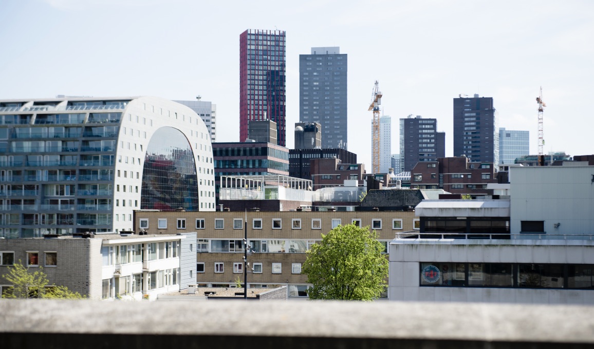 Rotterdamse Dakentour - uitzicht over de stad