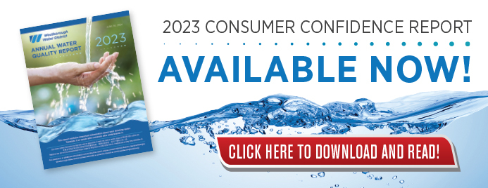 image of web banner for downloading the WWD's 2022 Water Quality Report