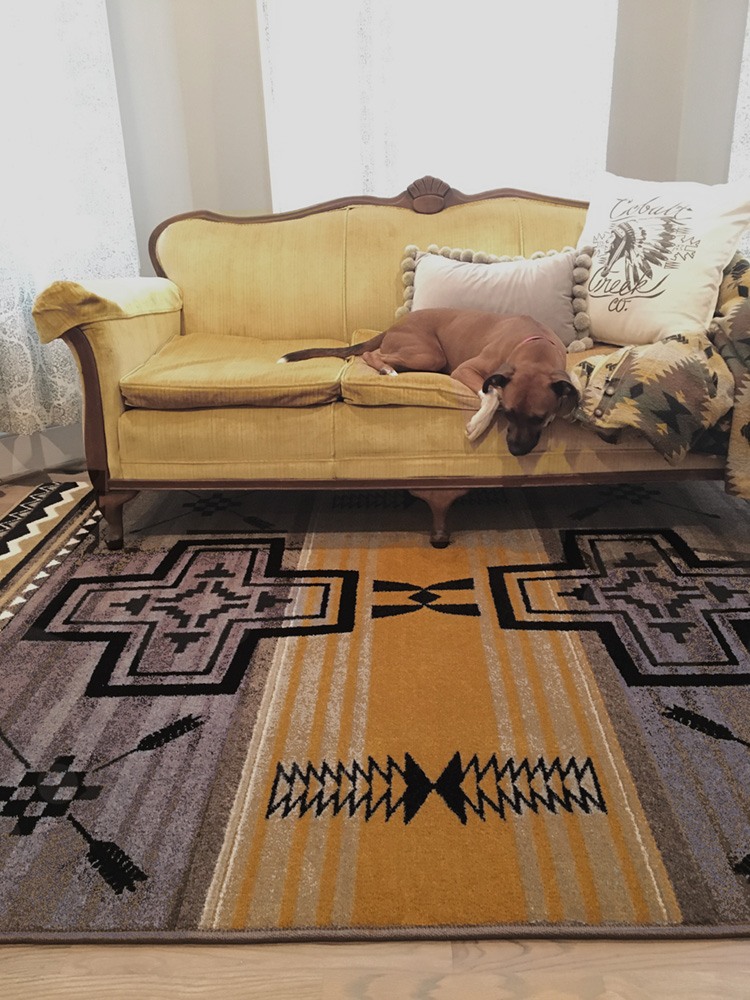 Distressed Western Looking Home Offices Rugs