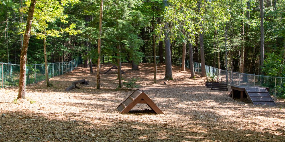 Our Bark Park makes for the perfect pet friendly camping activity!