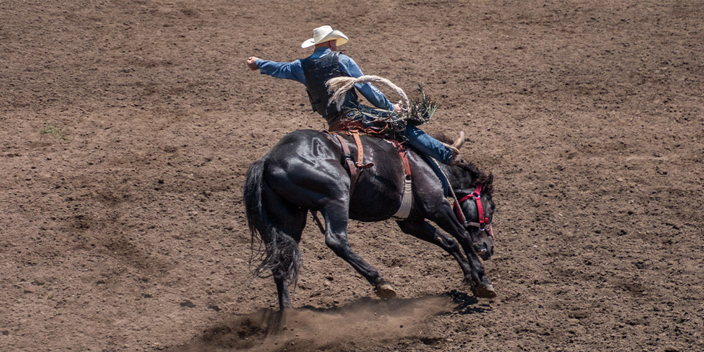 Cowboy riding horse during the Fort Worth Stock Show & Rodeo.