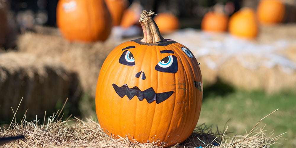 Halloween activities at Camp Fimfo Texas Hill Country. 